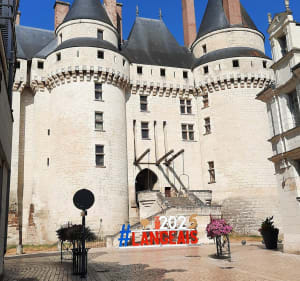 Joué-lès-Tours à Langeais - Dominique - 2