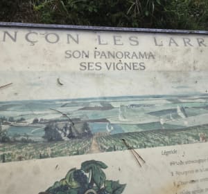 Chemin du Coucou de Larrey - Larrey - 2