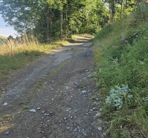 St Honoré 1500 depuis Pétichet - Saint-Théoffrey - 2