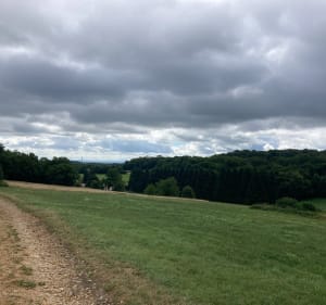 Boucle à partir Échenans-sous-Mont-Vaudois, et Bois du Mont - Marie Laure - 2