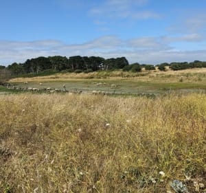 Entre mer et étangs vers Trévignon - Trégunc - 4
