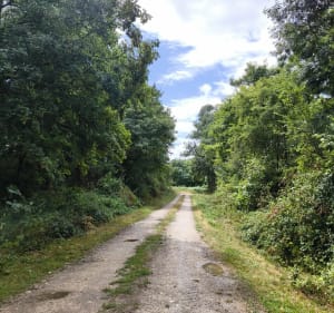 Le sentier au fil de l'Herbon - Massay - 2