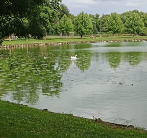 Parc de la Hotoie et chemin du halage - Amiens - 2