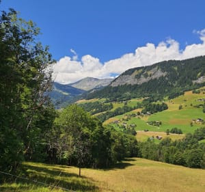 Lac des Evettes, des Nards - Praz-sur-Arly - 2