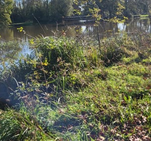 Le Pommain et le tour du lac de Bout de Bois - Jerome - 3