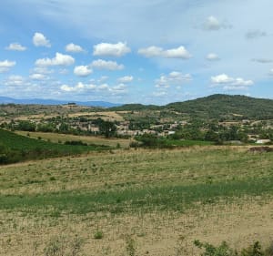 Vignes et forêts par Cornèze - FREDERIC - 4