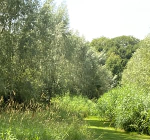 Balade au domaine de Palingbeek - Marcq-en-Barœul - 2
