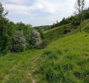 Du ravin de Pihem aux étangs de Landes - Wizernes - 3