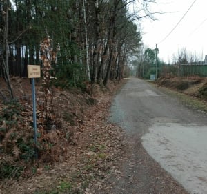 La Rando Sauvage de Mézeray - Mezeray - 2