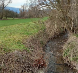 Entre vignoble et prairies entre Soultz et Hartmannswiller - Soultz - 2