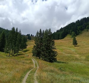 Petit tour des crêtes de Culées - Seytroux - 3