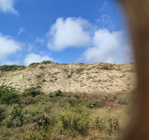 Vers l'observatoire de Berck - Berck - 2