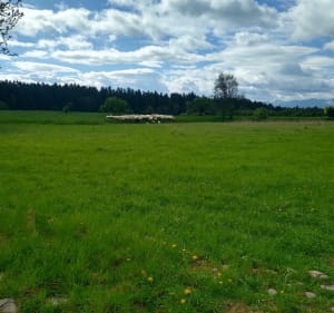 Nowy Targ od strony wschodniej do strony - Krzysztof - 2