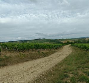 Boucle à partir de Cravant, passant à Val-de-Mercy - Deux Rivières - 2