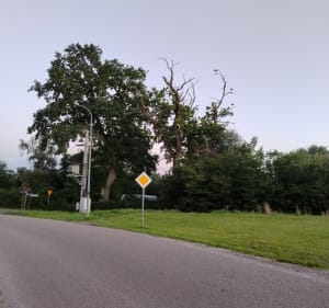 Droga rowerowa Bierkowie A1 - Bierkowo - 2