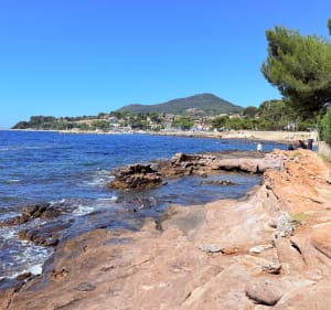 La Londe, Carqueiranne, Giens, La Londe-les-Maures - Bruno - 3