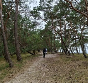 Sztutowo - Jantar - Kąty Rybackie - 2