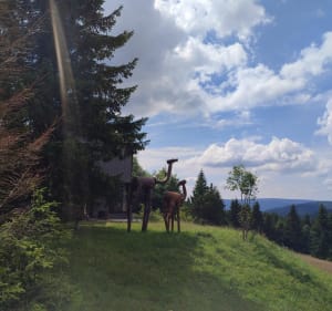 Ze schroniska Srebrny Potok na Małą Upę - Jarkowice - 2