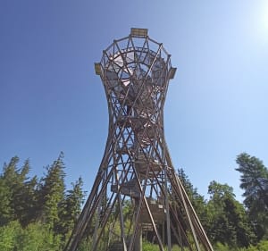 Na Borową - Anna - 2