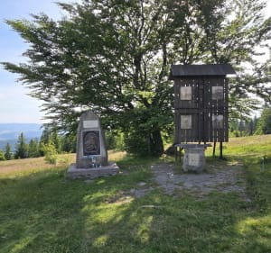 Ćwilin 1072 m n.p.m. - Wilczyce - 2