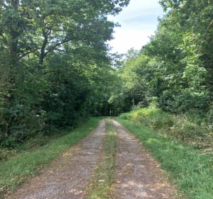 Circuit des Ecobuts - Aigrefeuille-sur-Maine - 2