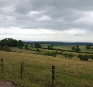 Promenade autour du village de La Tour-de-Sçay - La Tour-de-Sçay - 2