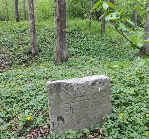 Trasa rowerowa Oława - Brzeg - Oława - 2