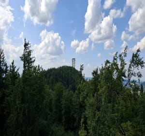 Wieza widokowa na Dzikowcu - Ada - 4