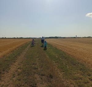 De Brassepot jusqu'à la route de Saint-Christophe - Aigrefeuille-d'Aunis - 2