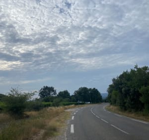 Aux alentours de Ménerbes - Ménerbes - 2