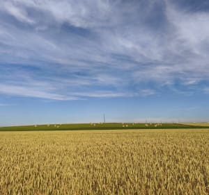 Parcours vélo et une petite partie à pied à Péronne en Méantois - Péronne-en-Mélantois - 2