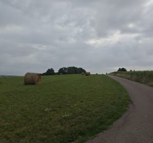 Belle promenade entre plusieurs villages depuis Woustviller - Woustviller - 2