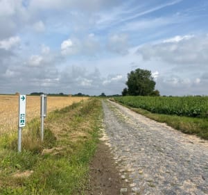 Parcours Run & Bike (Luchin) - Caroline - 4
