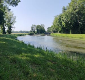 Balade sur la V33 vélo route de Mery s/ Seine à Savieres AR - Méry-sur-Seine - 2