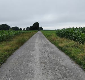 Sortie Gravel à Ousse - Grégory - 2