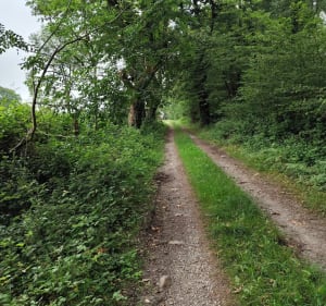 Sortie Gravel à Ousse - Ousse - 2