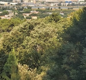 Balade nord Vaucluse et Drôme provençale - Antoine - 2