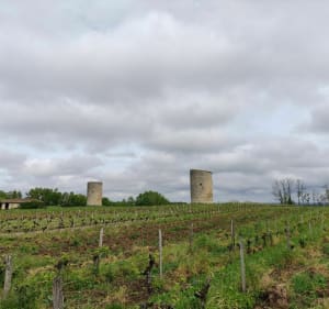 Tour dans le Fronsadais - Fronsac - 2