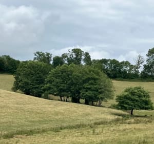Balade sur le plateau de Girgols - Marine - 3