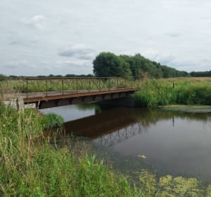 Campagne et canal près de Montmartin-en-Graignes - Graignes-Mesnil-Angot - 2
