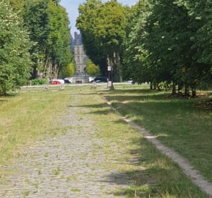 Chemin de randonnée du Rocher d'Avon, numéro 10 de Fontainebleau - Fontainebleau - 2