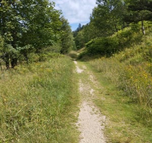 Du col des Feignes au haut du Mur - La Bresse - 2