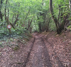 Balade dans les Coteaux - Argences - 2
