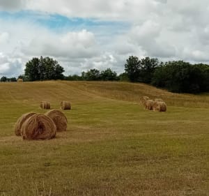 Balade a Villesèque et Sabatier - Baptiste - 2