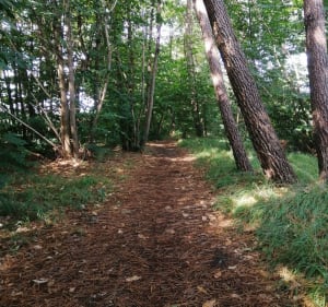 Tour de Mézeray fleurtant avec les communes voisines - Mézeray - 2