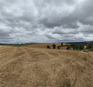 Causse de Nissac et hameau d'Hermelix - Laurent - 4