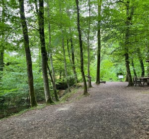 Balade entre Durmenach, Muespach et Roppentzwiller - Durmenach - 2