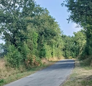 Petit balade à pied par Pointindoux - Saint-Georges-de-Pointindoux - 2