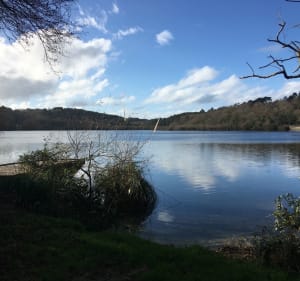 Des plages de l’océan aux sous-bois et lac de Mouriscot - Alain - 3
