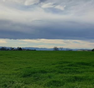 Tour complet d'Arzacq par chemins - Vignes - 2